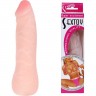 BAILE SEXTOY фаллоимитатор реалистик BW-007001G